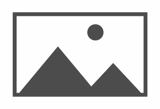 Lazy Loading active (hooked element)